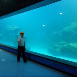 د Aquarium / oceanarium لپاره دیوال یووی اکریول پینل کاسټ