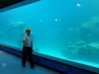 د Aquarium، oceanarium لپاره دیوال یووی اکریول پینل کاسټ کړئ